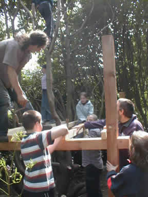 Building the treehouse